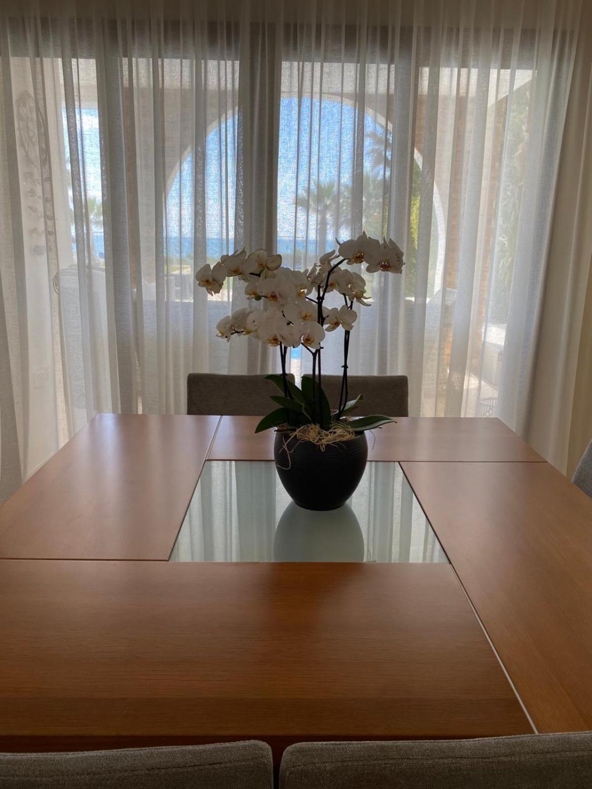 Ionion Beachfront Villa Ayia Napa Exteriér fotografie