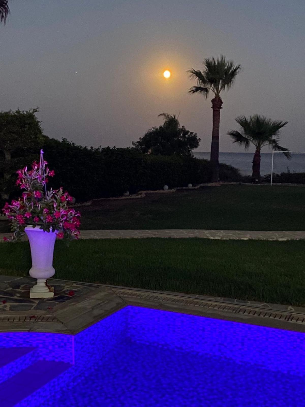 Ionion Beachfront Villa Ayia Napa Exteriér fotografie